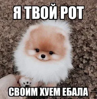 Sticker @stiki_tg_nah_canal - 1