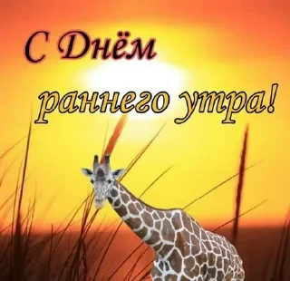 Sticker Больше стиков тут: @stikery4 - 8