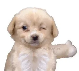 Sticker Больше стиков тут: @stikery4 - 1