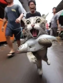 Sticker Больше стиков тут: @stikery4 - 7