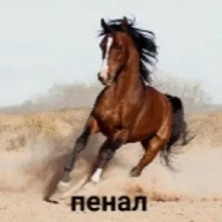 Sticker Больше стиков тут: @stikery4 - 4