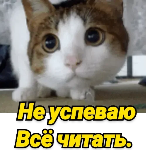 Sticker nLX_uX1z4e - 9