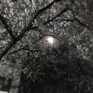 Sticker Больше стикеров: @sticerru - 0