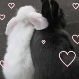 Sticker Больше стикеров: @sticerru - 11