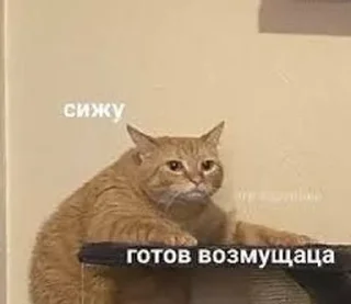 Sticker Больше стиков тут: @stikery4 - 7