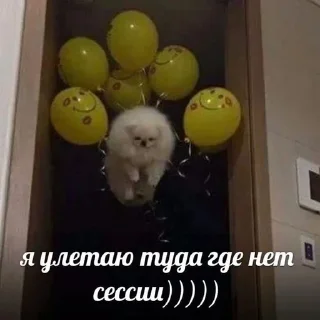 Sticker Больше стиков тут: @stikery4 - 6