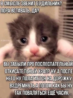 Sticker Больше стиков тут: @stikery4 - 11