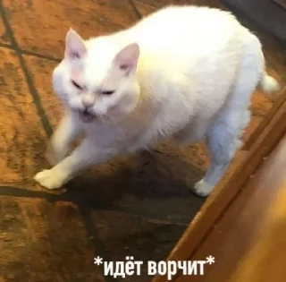 Sticker Больше стиков тут: @stikery4 - 9