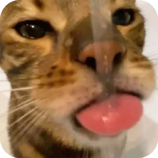 Sticker Больше стиков тут: @stikery4 - 2