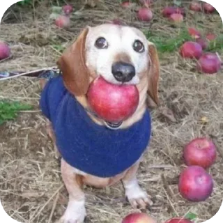 Sticker Больше стиков тут: @stikery4 - 6