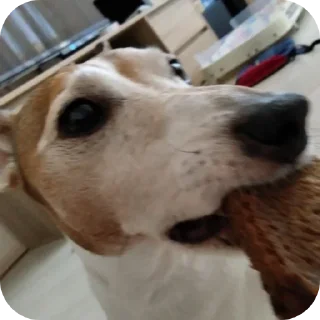 Sticker Больше стиков тут: @stikery4 - 3