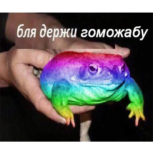 животное ящерица пресмыкающееся