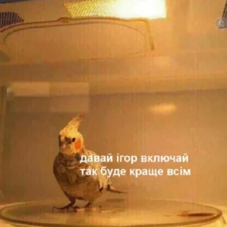 Стикер на випадок важливих переговорів - 3