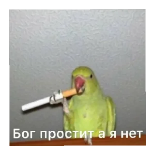 Стикер на все случаи жизни - 1