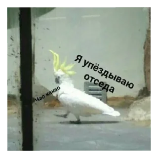 Стикер на все случаи жизни - 3