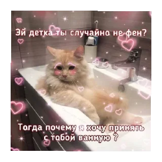 Стикер на все случаи жизни - 10