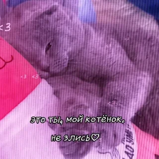 Sticker на все случаи жизни @kunchik_69 - 3