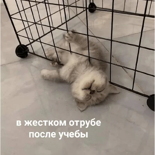 Sticker nadopomirat - 1