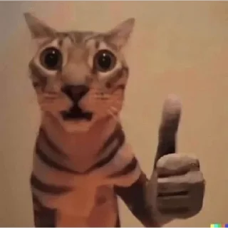 Стикер @sasatshegol - 10