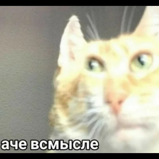 Стикер nadushkiny - 1