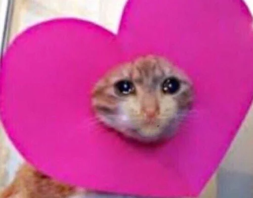 Sticker nadushkiny - 1