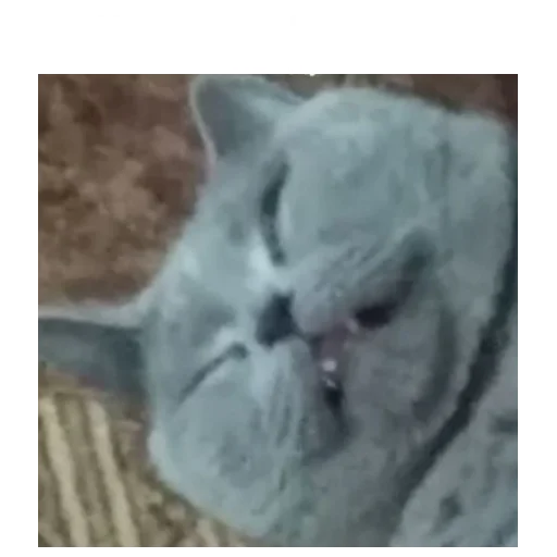 Sticker nadushkiny - 1