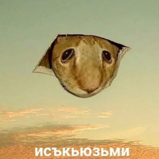 Sticker nadushkiny - 1