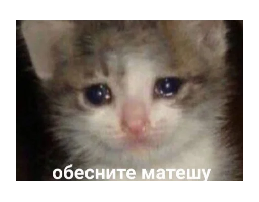 Sticker nadushkiny - 1