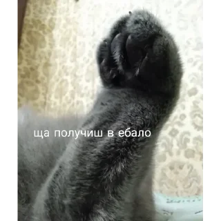 Sticker malinki malinki tokie vecherinki - 7