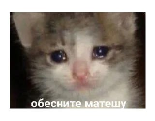 Sticker malinki malinki tokie vecherinki - 4