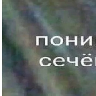 Стикер я тебя наебал (@CTuKOCbl) - 5