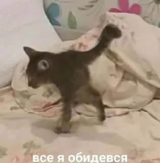 Sticker Наезды by @yunamo - 4