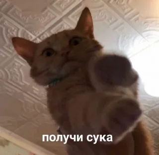 Sticker Наезды by @yunamo - 1