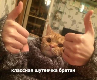 Sticker Наезды by @yunamo - 9