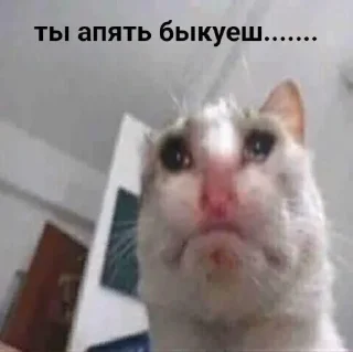 Sticker Наезды by @yunamo - 5