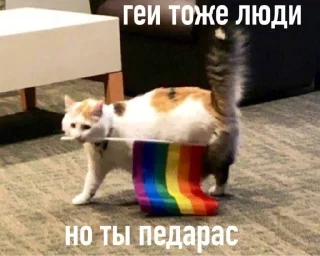 Sticker Наезды by @yunamo - 2