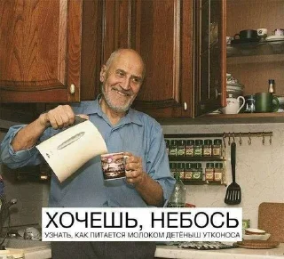 Sticker Шиза - 1