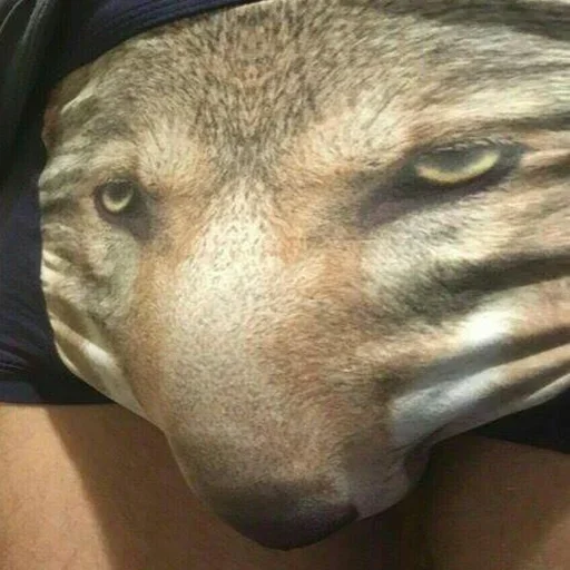 животное собака голова