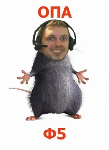 млекопитающее человеческое лицо животное