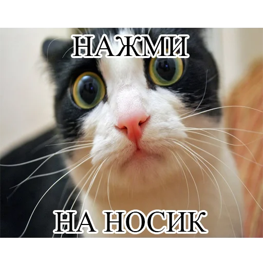 Стикер @wall1080 - 3