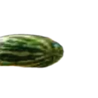 Стикер найсэзкеое - 3