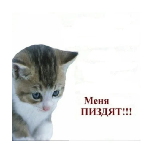 Стикер наклеечки... - 9