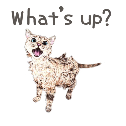 животное кошка млекопитающее