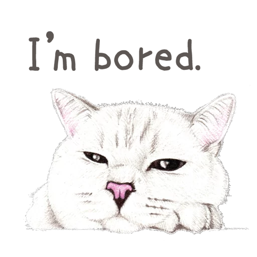 животное млекопитающее кошачьи