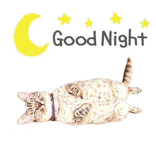 иллюстрация животное кошка