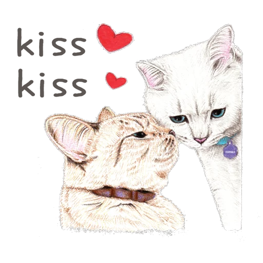 млекопитающее животное кошачьи