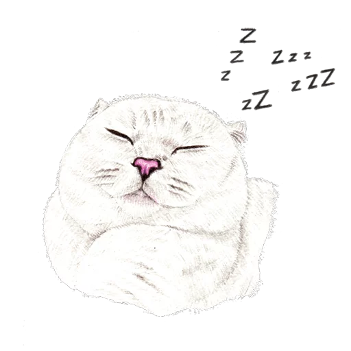 эскиз животное млекопитающее