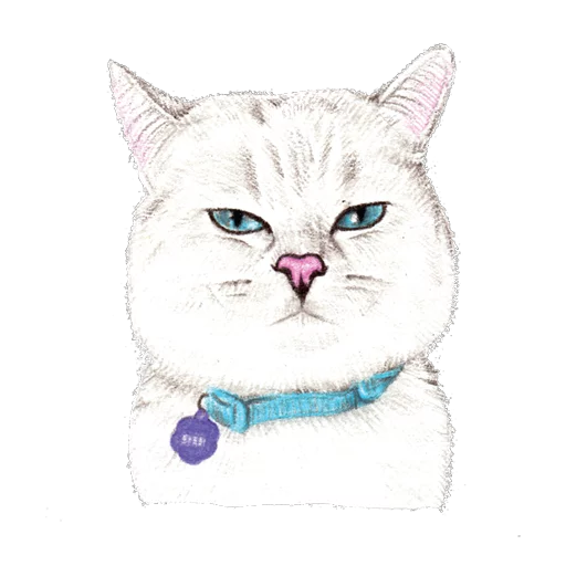 кошки малого и среднего размера кошачьи животное