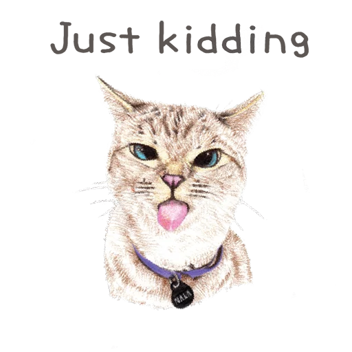 животное кошка млекопитающее