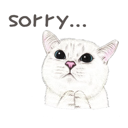 кошки малого и среднего размера кошачьи усы